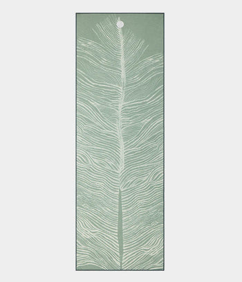 Silver-Plume-2.0
