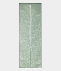 Silver-Plume-2.0
